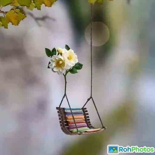 Attractive Whatsapp Dp 11