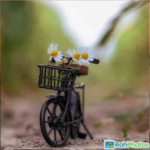 Attractive Whatsapp Dp 13