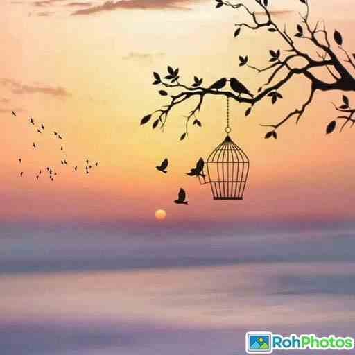 Attractive Whatsapp Dp 20