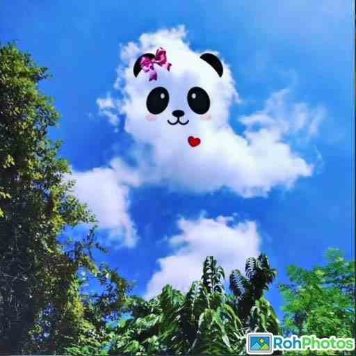 Attractive Whatsapp Dp 7