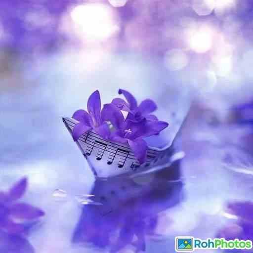 Best Whatsapp Dp 12