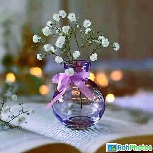 Best Whatsapp Dp 6