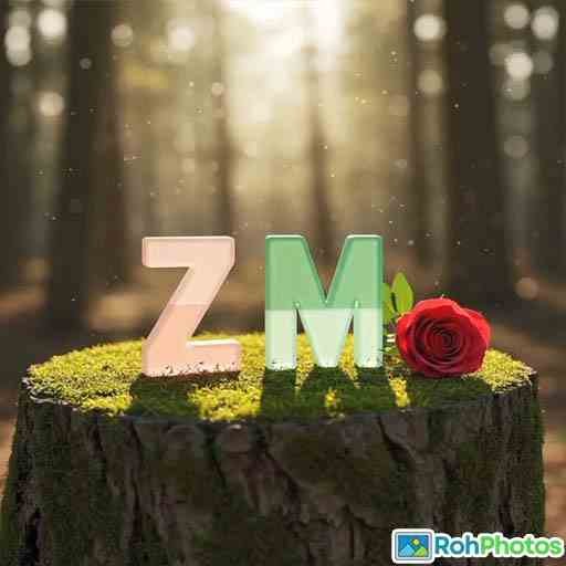Couple Name Dp For Whatsapp 17
