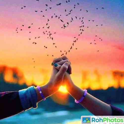 love couple dp anime 3